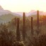 Western National Parks Association