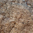 Image of rock from the Mascall assemblage.