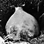black & white photo of an olla