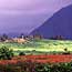 Photo of Monument Hill, Kalaupapa