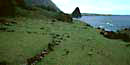 Archeological Site - Kukaiwa'a Peninsula