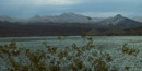 A wash in a Wilderness Area