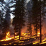 a prescribed fire burns