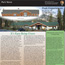 Picture of Park Newspaper