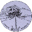 Logo of Volcano Club