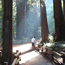 Muir Woods Historic Resource Study