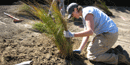 Volunteer planting native vegetation along Redwood Creek.
