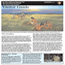  Nez Perce National Historical Park Visitor Guide