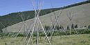 Tipis at Big Hole National Battlefield commemorate those who died.