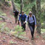 Trail Conditions