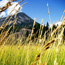 Stehekin Volunteer Opportunities