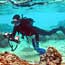  Scuba diver at Ofu Lagoon