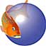 Fish Base site