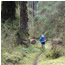 Valley Trails