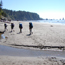 Coast Route/Trail Descriptions