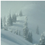 Link to Hurricane Ridge Weather Forecast