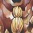 Depictions of a Cave Tour