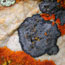 Orange, green, and black lichens