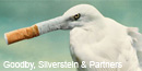 The pernicious Cig Egret makes its nest in beaches, estuaries, and marshes. Physical removal is the only means of eradication.