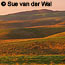 rolling coastal grasslands at sunrise