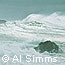Storm Waves Crashing on Rocks and Beach © Al Simms
