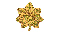 U.S. Army major rank insignia