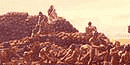 Pu'ukohola Heiau