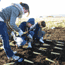 Spring Street School students plant grass plugs on prairie.