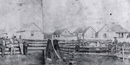 Belle Vue Sheep Farm in 1859