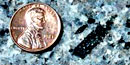 Mineral crystals compared to size of a penny.