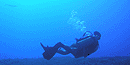Coral reefs - Guam