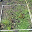 fire monitoring plot frame