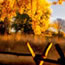 Fence in autumn light