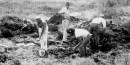 picture of archaeologists