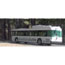 Bus Bus
