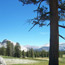View of Tuolumne Meadows