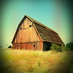 Farms of Ebey's Reserve