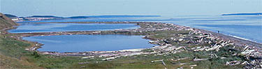 Shoreline