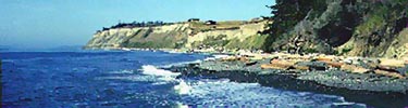 Bluff along Whidbey Island