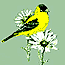 Naturalist's Guide