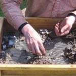 Detail image of an NCRI archaeologist using a screener tool to isolate artifacts