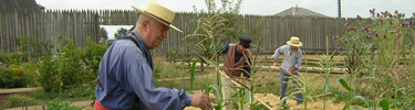 Volunteers and Staff iwork in the Fort Vancouver Garden