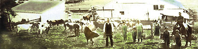 photo of Portuguese dairy family