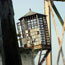 Alcatraz Island