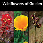 Click here to find out what maps, brochures, and/or self-guided booklets are available.