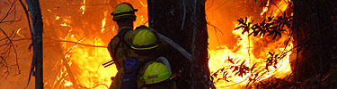 Firefighters battling blaze during the 2004 Tam Fire.