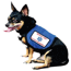 DOJ Definition of a Service Animal