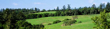 Scenic Olema Valley from Highway 1 (Brenda Tharp)