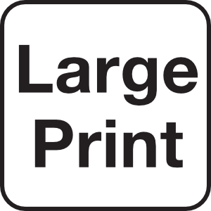 Fort Point Large Print