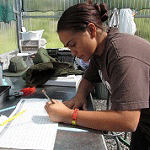 2013 Internship Programs
